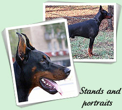 Stands and portraits