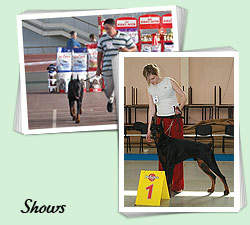 Shows