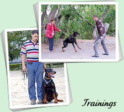 Trainings