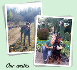 Our walks