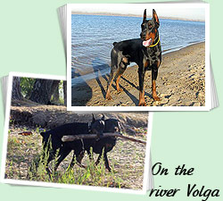 On the river Volga