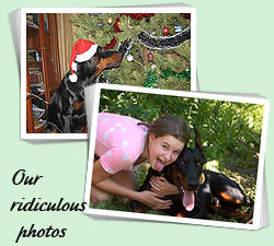 Our ridiculous photos