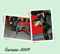 Eurasia-2009