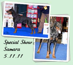Special Show, Samara
